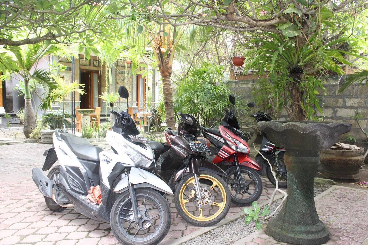 Green Palm Homestay バリ島 エクステリア 写真